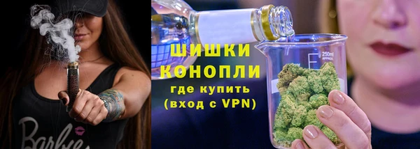 мдпв Новокубанск